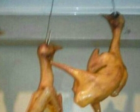 ��ֻ��֯�Ű������ļ�
