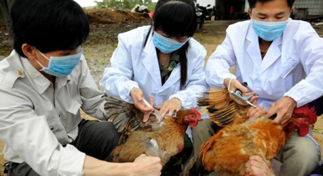 2016年h7n9禽流感最新消息 1-2月份为高发期要注意
