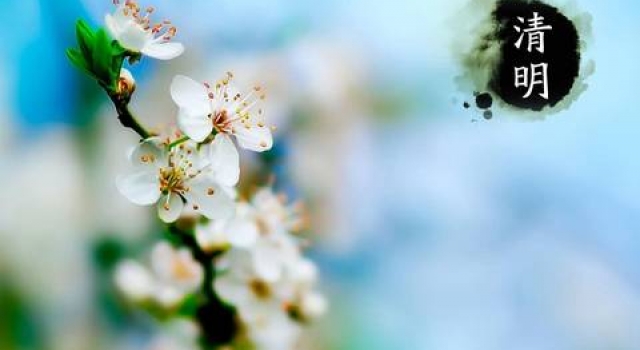 关于清明节的资料介绍:节日历史起源源流追溯