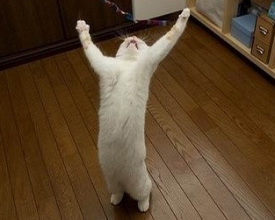 ��ô�� �Ҹպ�����˶�ҩ