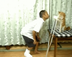 ��ЦGIF ����С��Ȯ֮�ճ�������