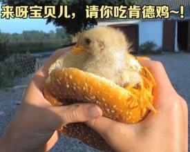 ������������б����ˣ���ѽ������ ����Կϵ¼���
