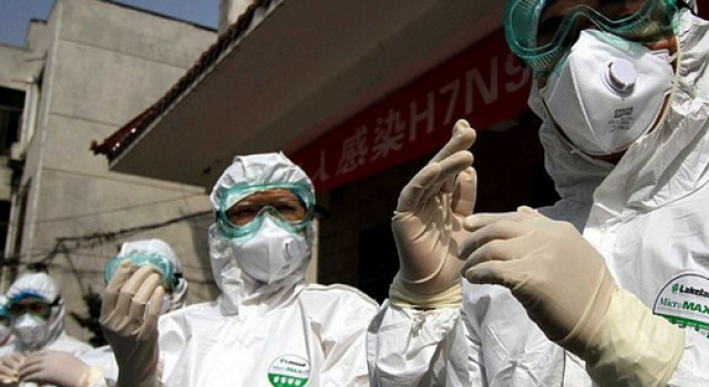 广东半个月内确定11例H7N9病例 中老年人发病率高