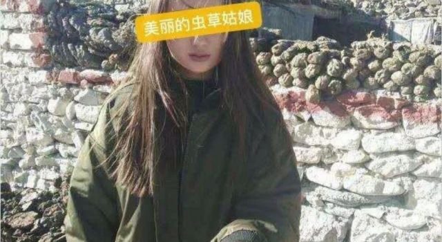 虫草姑娘落网 通过卖悲惨人设博取同情骗人钱财