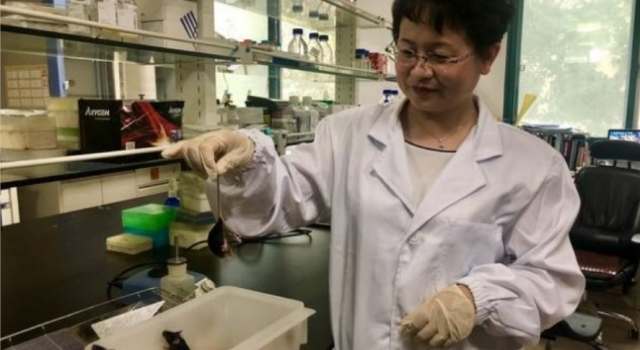 人类粪便或可治疗抑郁症 最新研究科学化粪便为神奇