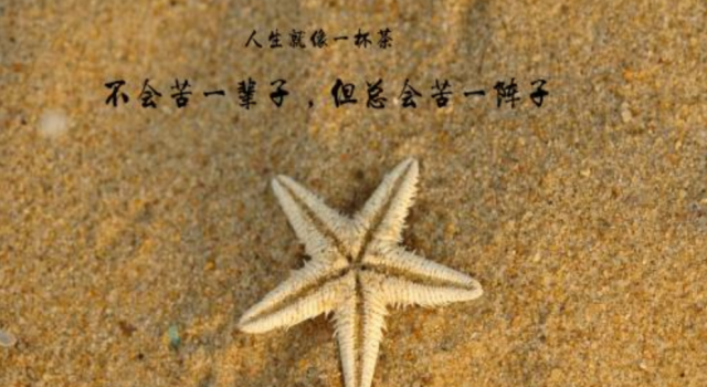 很优美的人生感悟的句子:岁月告诉你,什么才是人生