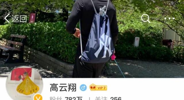 高云翔豪宅区遛狗生活惬意,净身出户后经济不受影响仍悠然自得