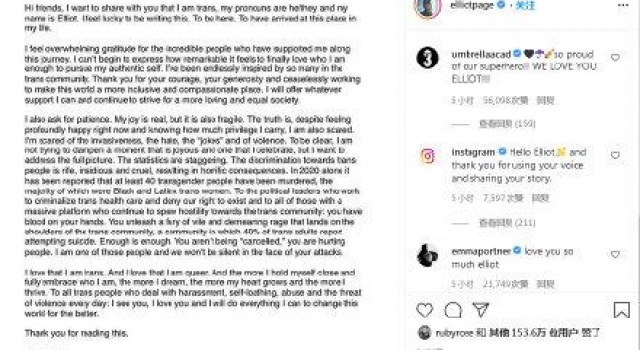 艾伦佩吉宣布为跨性别者 艾伦佩吉资料照片代表作