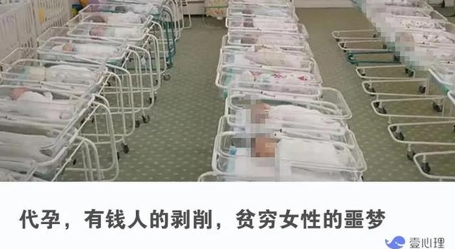郑爽又爆料,代孕门大反转?借腹生子,最大赢家永远是有钱人