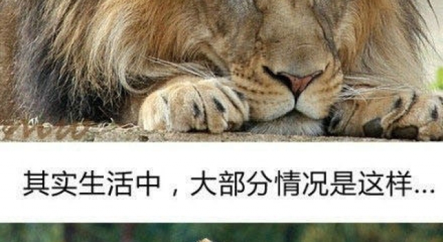 有了孩子后生活就是这样的~