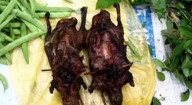 云南另类美食：虫子竹鼠生皮等你来战