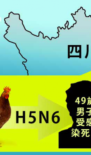 h5n6禽流感症状是什么？ h5n6死亡率高于非典