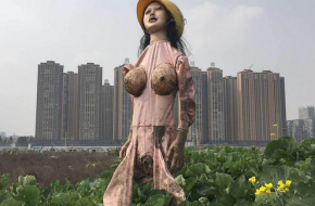 史上身材最美稻草人:成都农民将充气娃娃伪装成稻草人