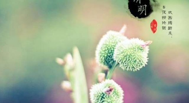 2016年清明节笑话大全：赶走坏情绪瞬间就能满血复活