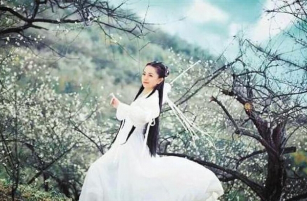 为当地梅花代言 27岁女镇团委书记扮小龙女自费拍写真