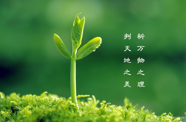 关于清明节的风俗介绍 中华民族认祖归宗的纽带
