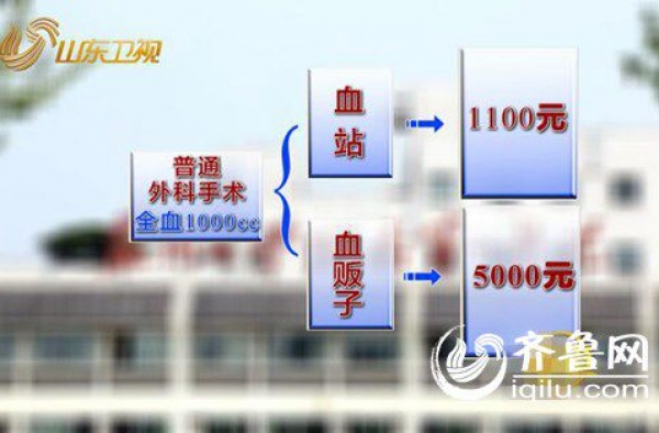 我国多地闹“血荒”:血贩子开价好几倍 年收入上百万