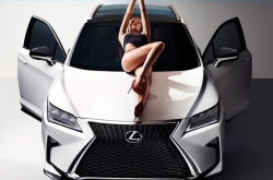 ƤﳬģLexus RX ŮҰ޵ļ