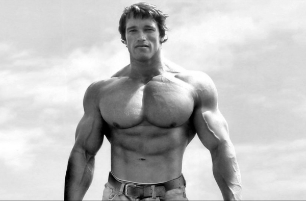 施瓦辛格肌肉有多屌 如何变成施瓦辛格