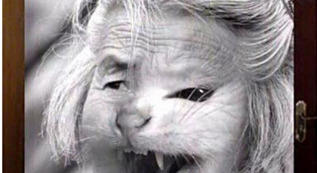 95年哈尔滨猫脸老太太事件是真是假 目击者曝真相