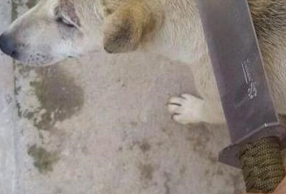 ɱʬдв ӱйɱ