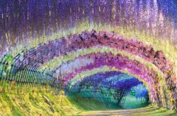 ������! ��20��ȫ�������Ľֵ�ֵ��һ��