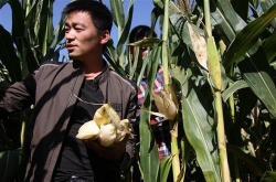 Ʋ������¼� ������̸̸����ǿ�⼸��