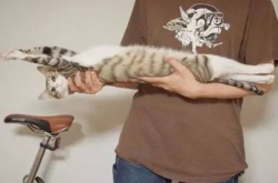 ��������!�������������嵽�����ж೤?