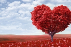 英文情书：Love always（永远的爱）