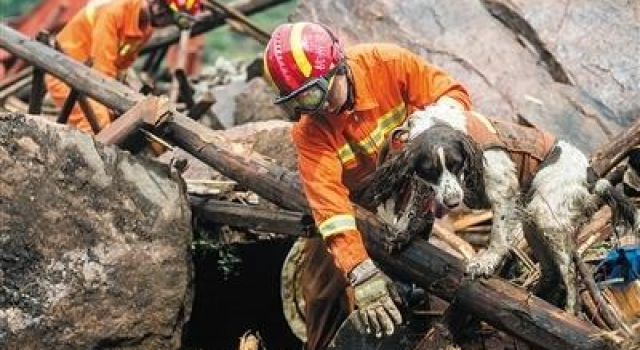 浙江丽水山体滑坡搜救情况 仍有17人失踪