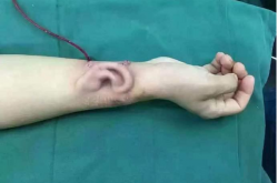 䳤ֱ! ߹ֱֲͷ