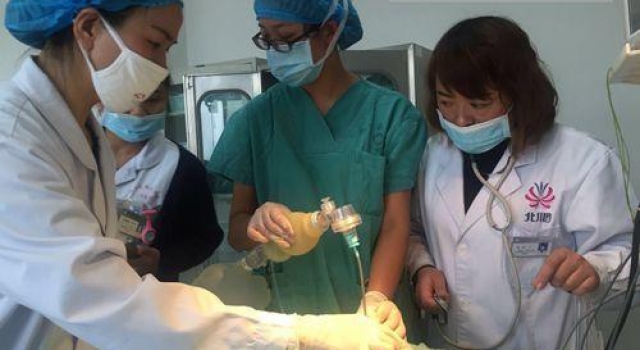 心痛！双胞胎女婴早产不足1公斤父母考虑放弃治疗
