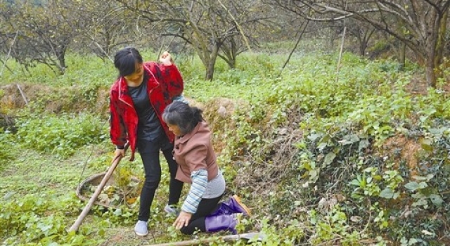 未婚妻：待你脱离植物人 再为我披上婚纱可好