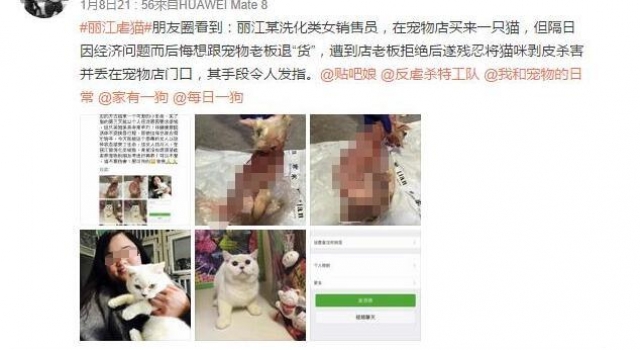 女子买猫反悔欲退货 把猫剥皮放宠物店门口示威