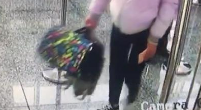 女生肚子藏猫装孕妇过安检不配合 然后猫叫了……
