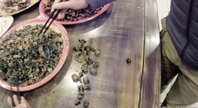 一定是吃了只假鸡!男子1只鸡吃出10个鸡爪 鸡竟没死