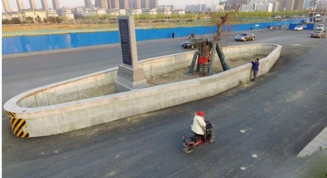 道路最牛钉子树：立于城市主干道 车辆行人为其让路