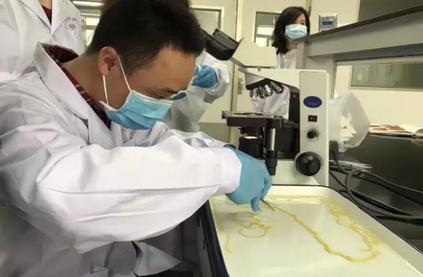 吃牛排吃出五米虫子 五分熟的牛排你还敢吃吗?