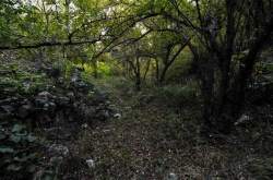 ������ս���Ϻ���ɽѪսҰ��8Сʱ����ʤ��