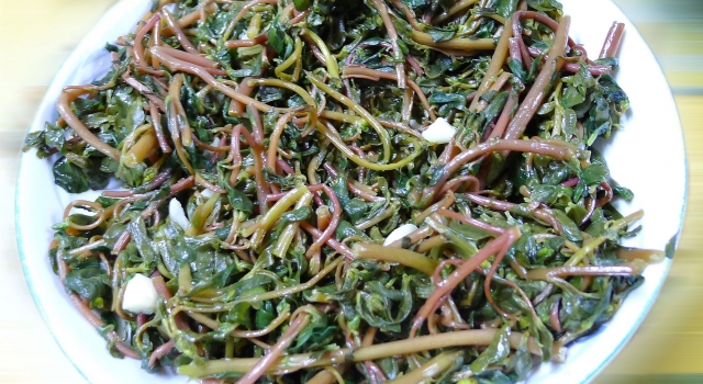 老家地里挖出的野菜 祛痘润肤效果好，关键好吃不花钱