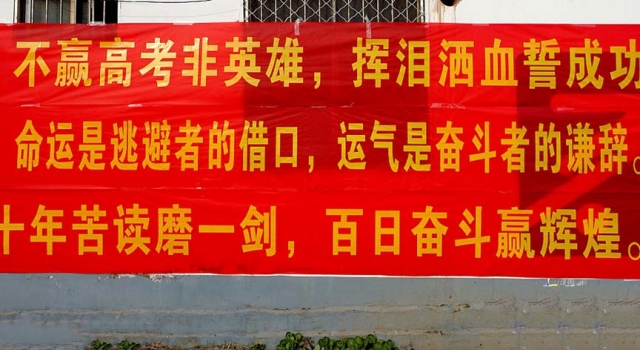 校园霸气高考标语:要成功 先发疯