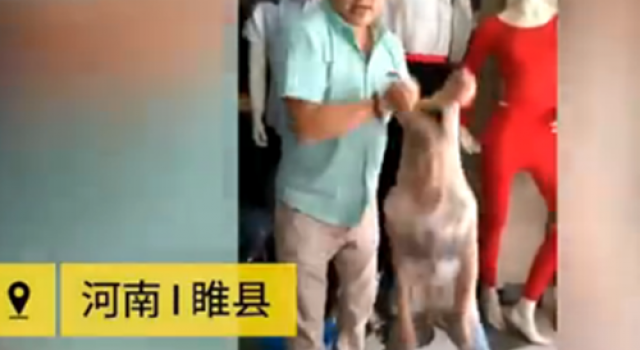 是亲爹吗？ 男子将儿子装入丝袜测质量 儿子表示很无奈