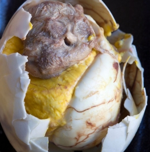 盘点全球十大恶心食品 你吃过哪一样？