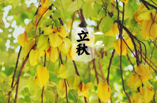 立秋吃什么怎么养生 各地的饮食习俗大全