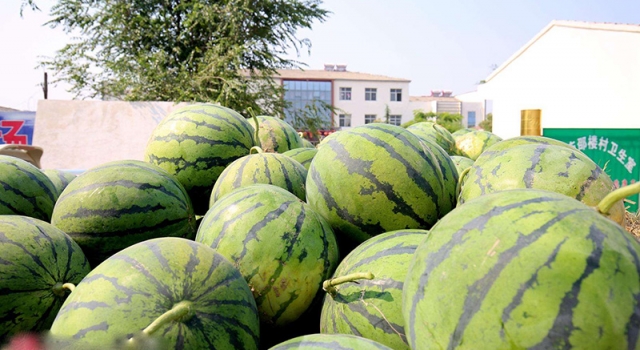 西瓜400天不烂是打了防腐剂？食药总局网发帖辟谣