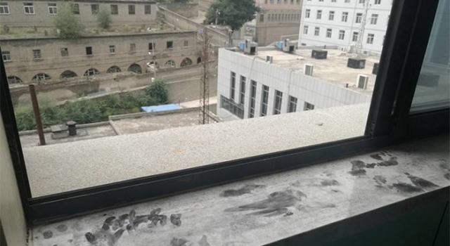 陕西榆林产妇坠楼瞬间监控画面曝光 初步调查结果公布