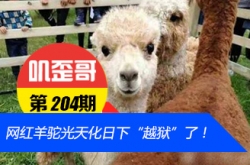 ߴ V0.204УȦչ컯¡Խˣ