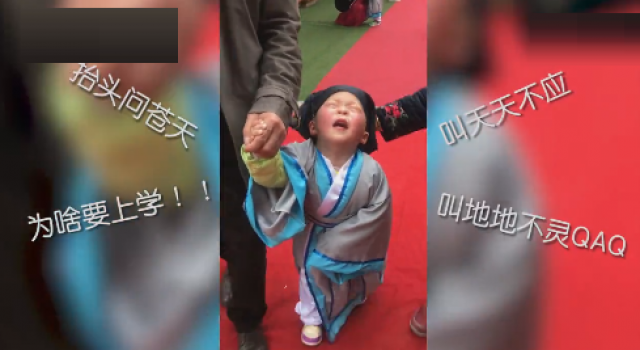开学季成都小朋友爆哭 网友：上学这一劫苍天饶过谁！