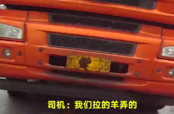 用羊粪挡车牌还甩锅给羊 羊：这锅我不背