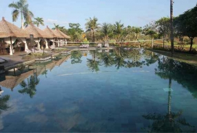 �к�͵͵��ȥ���嵺��4�� �к���ĸɵ��